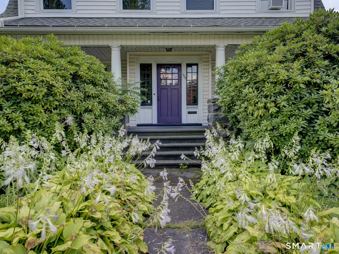 Photo of 205 Albert Street