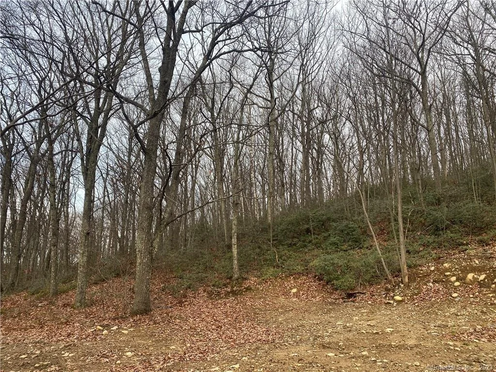 Photo of 52 Chestnut Hill Road