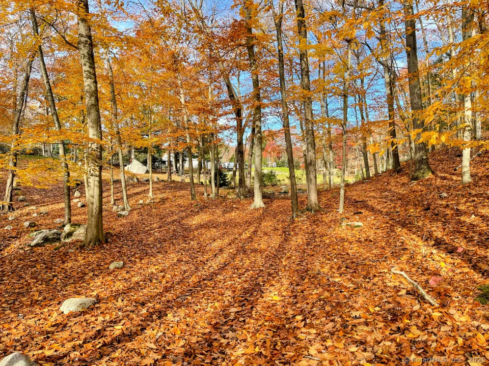 Photo of 58 Botsford Hill Road
