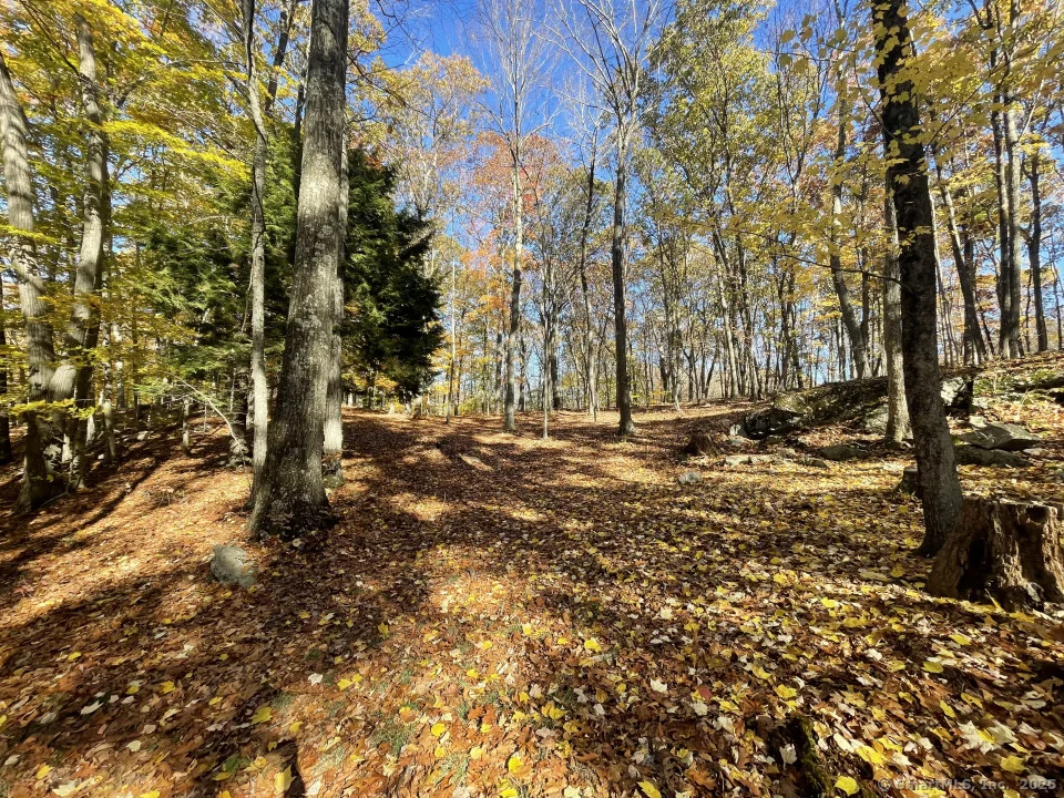 Photo of 58 Botsford Hill Road