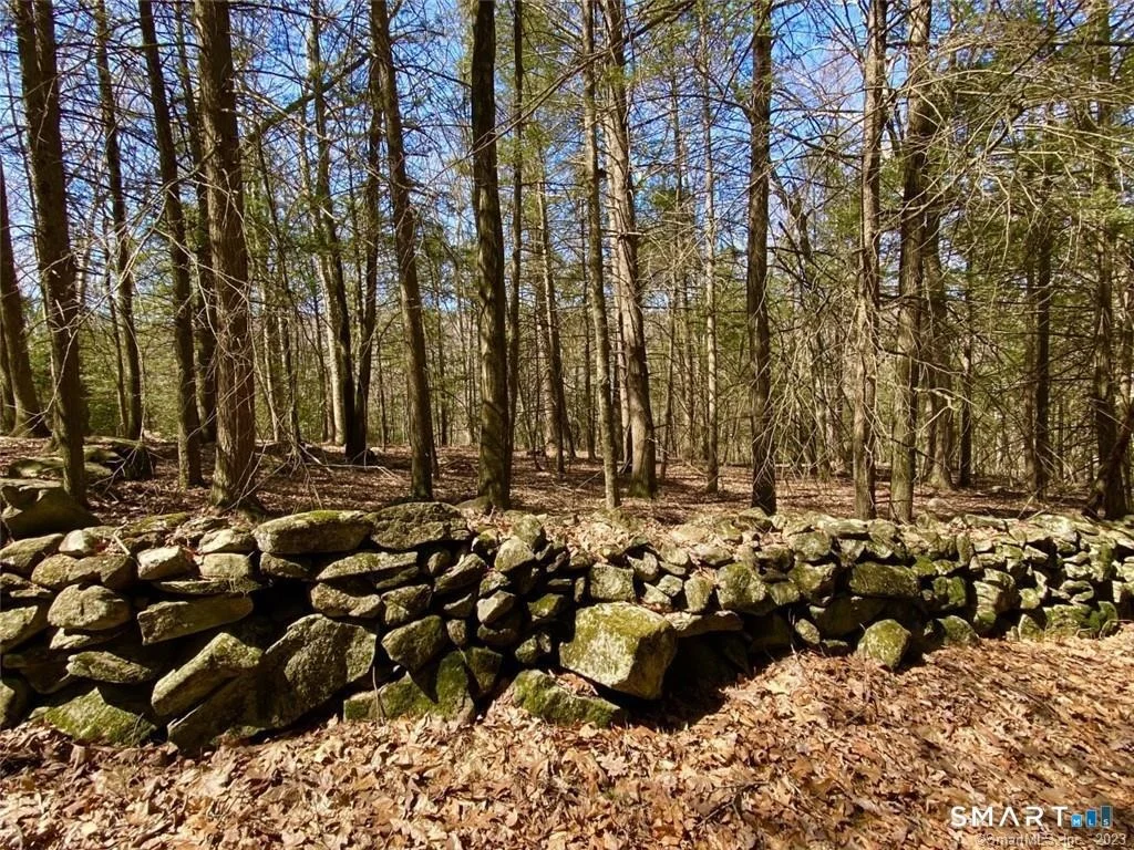 Photo of 43 Baker Road