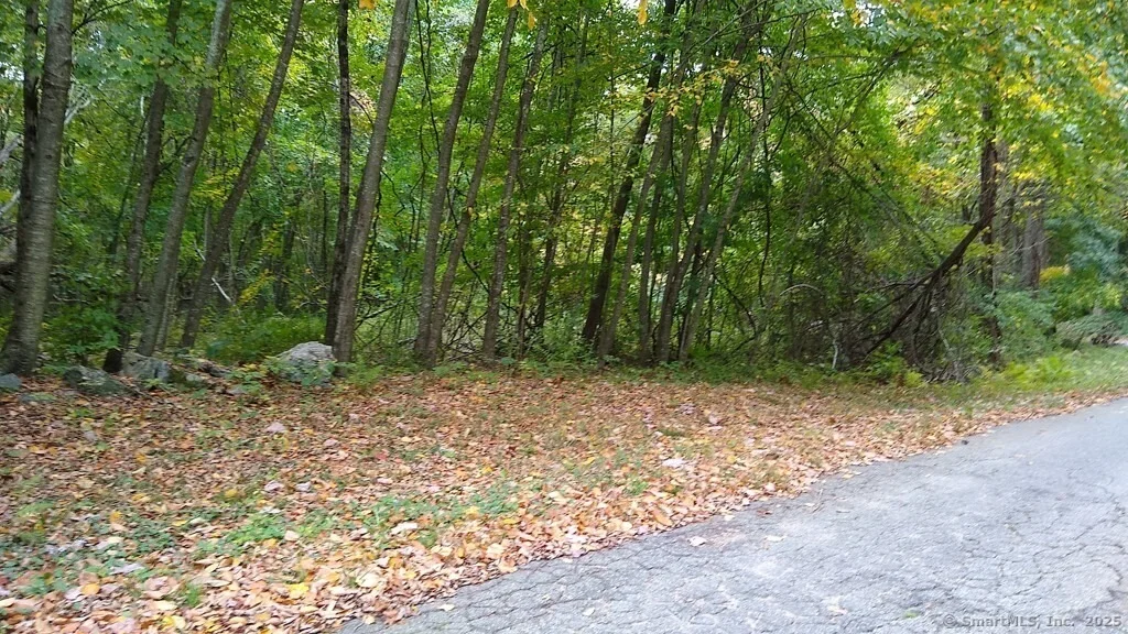 Photo of 0 Chowanec Road