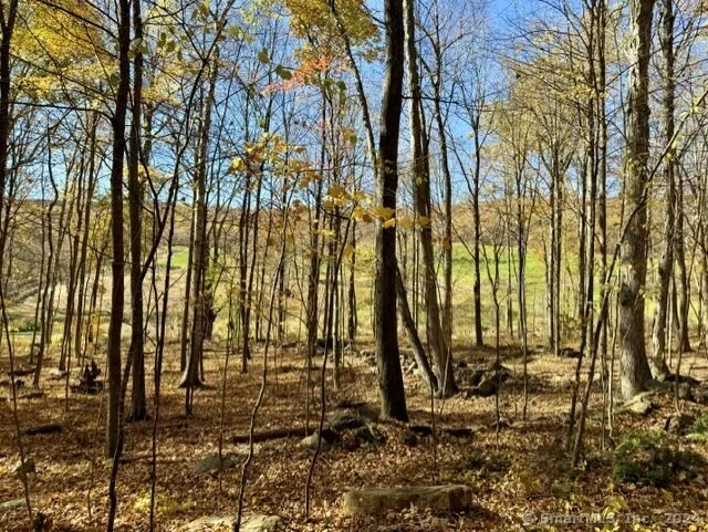 Photo of 00 Upper Kent Hollow Road