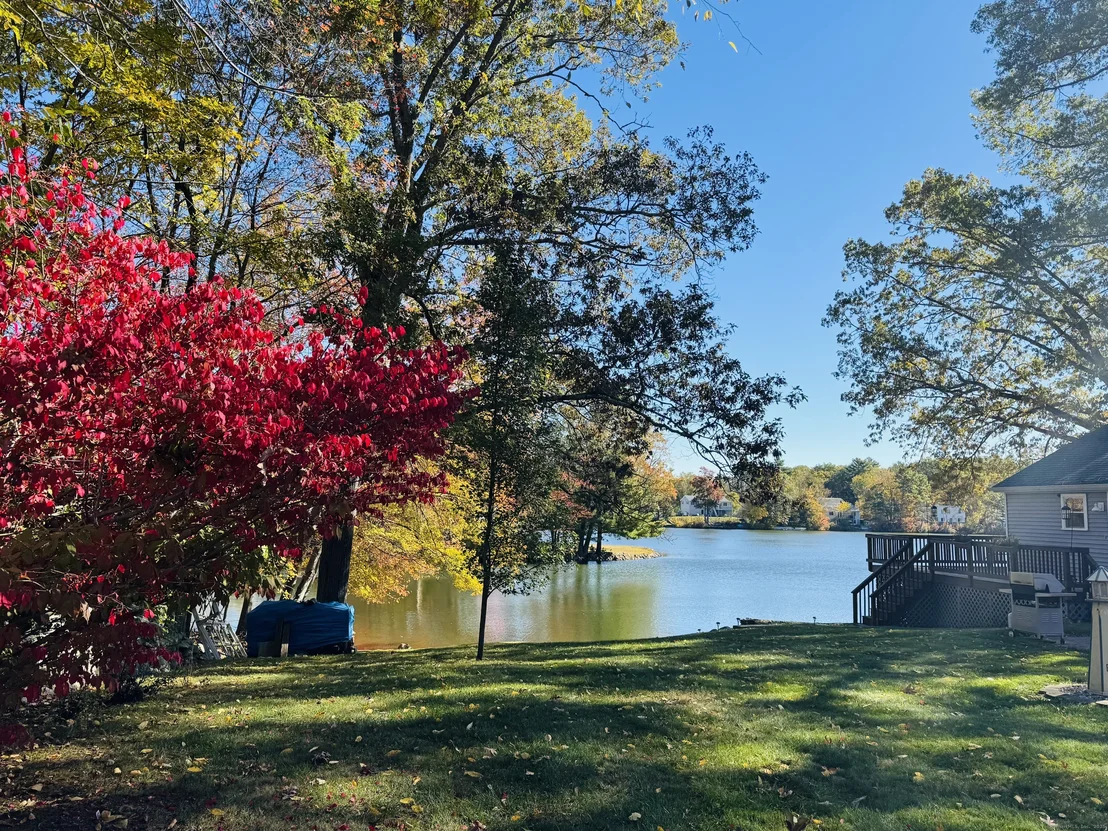 Photo of 51 Becola Road