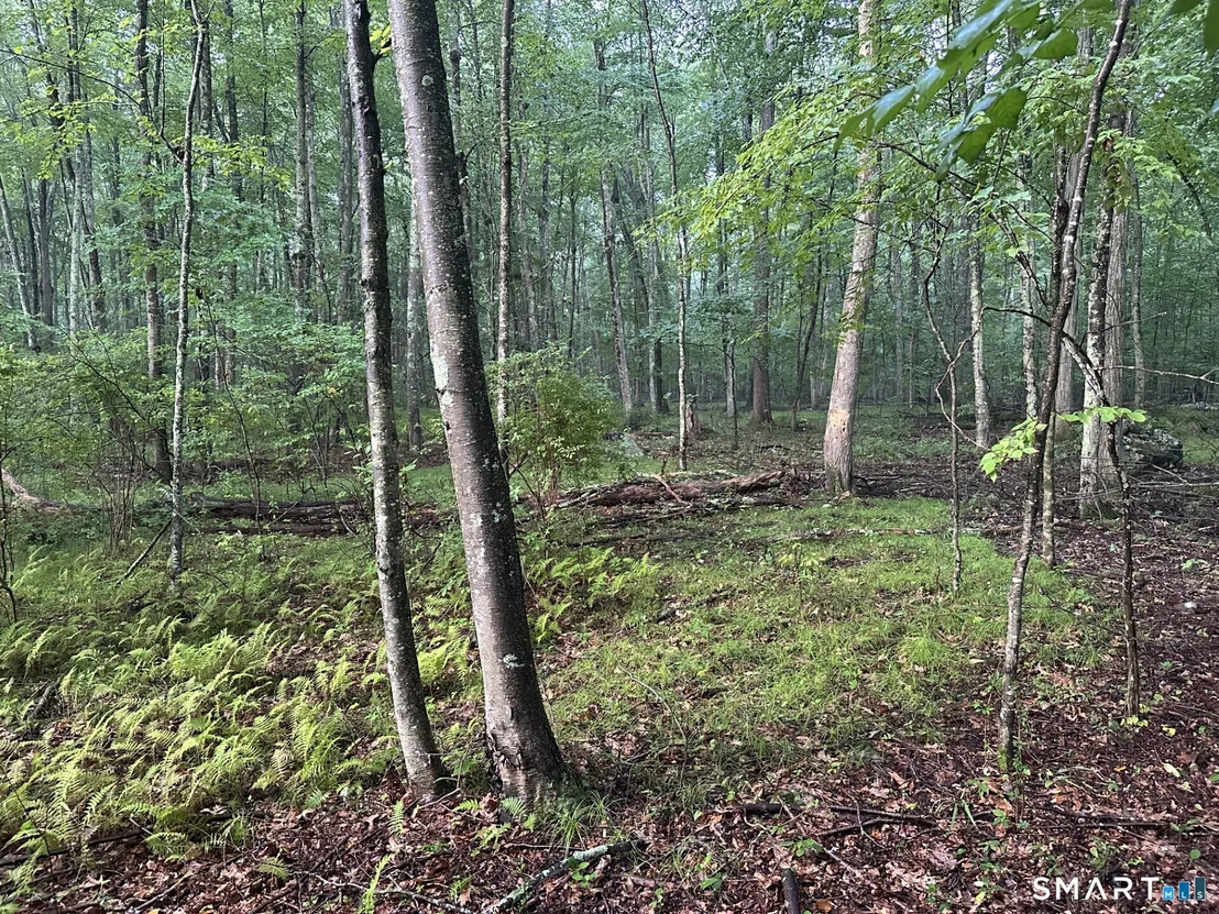 Photo of 291 Hammertown Road