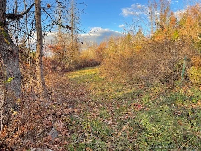 Photo of Meyer Road