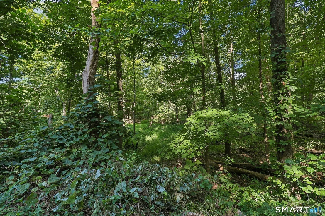 Photo of 62 Coppermine Road