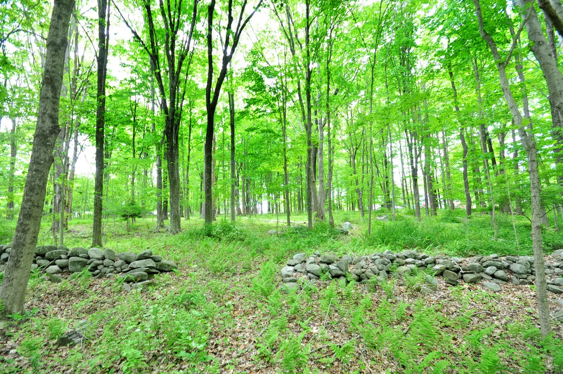 Photo of 30 Chestnut Hill Road