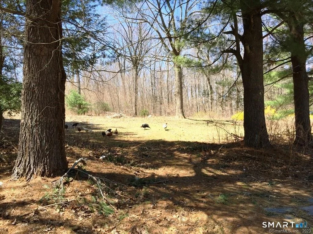 Photo of 159 Campville Road