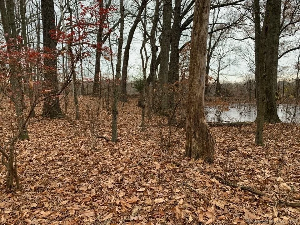Photo of 16 Broad Brook Road