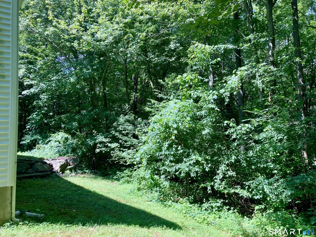 Photo of 207 Reed Road