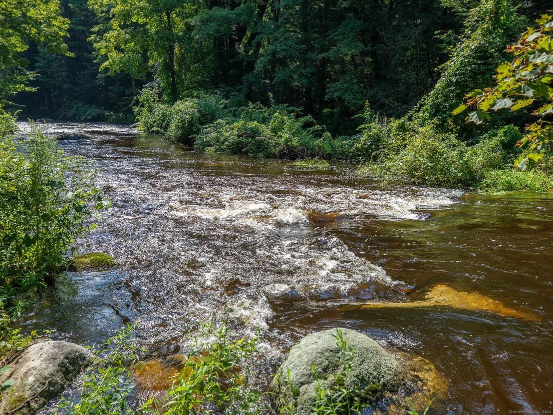 Photo of 19 Saw Mill Road