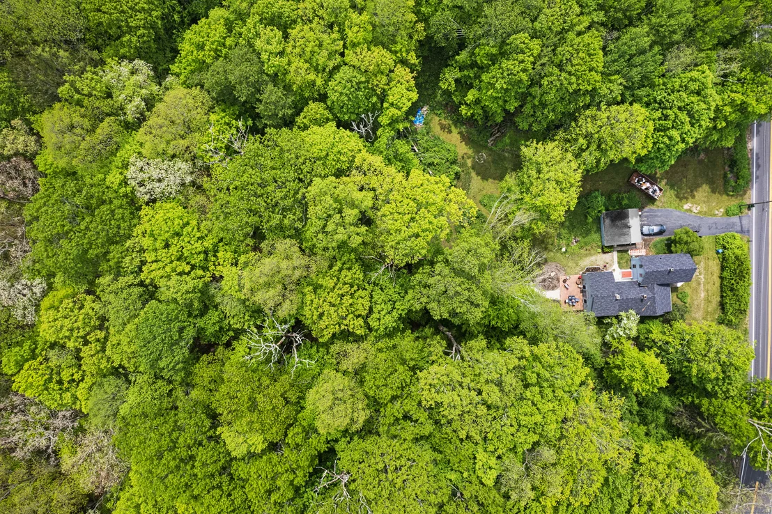 Photo of 77 Hebron Road