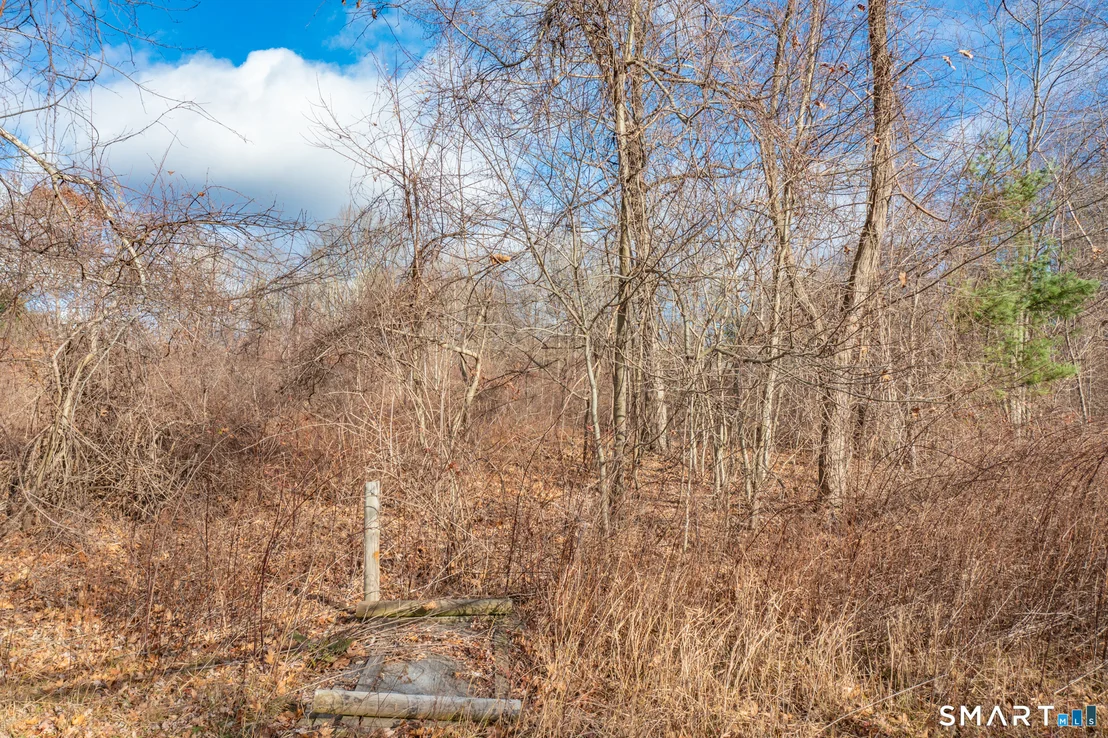 Photo of 317 Merrow Road