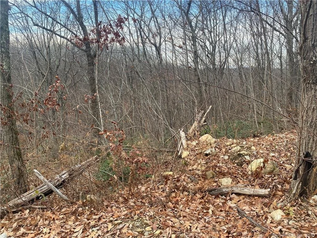 Photo of 52 Chestnut Hill Road