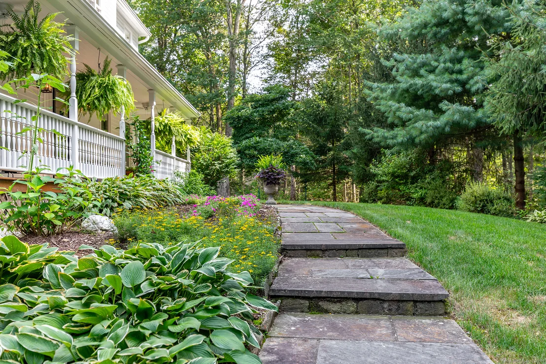 Photo of 80 Transylvania Road