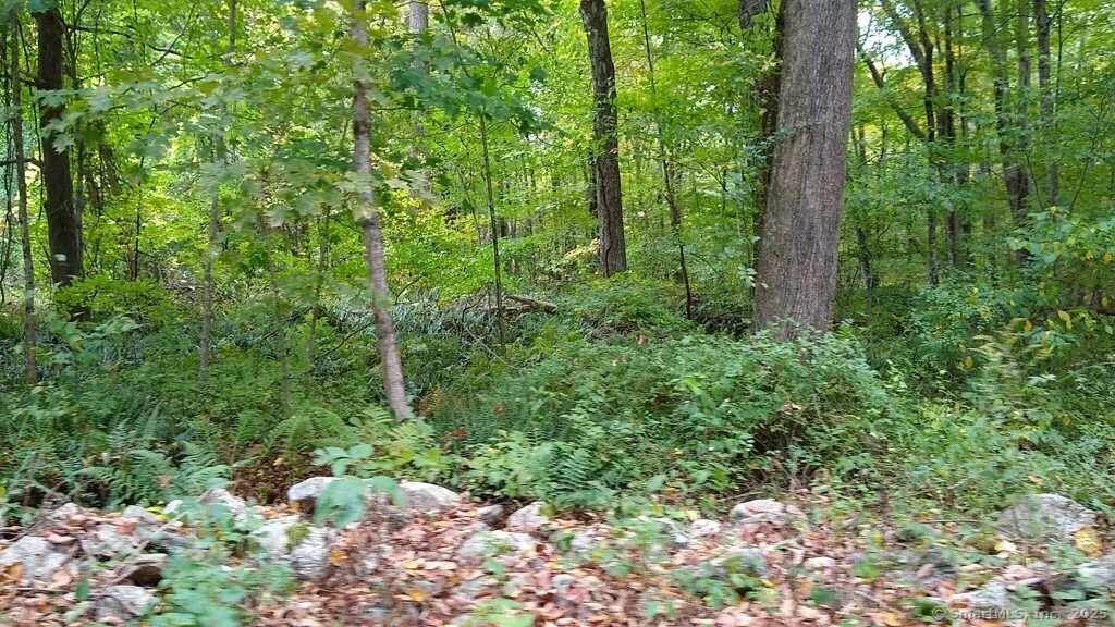Photo of 0 Chowanec Road