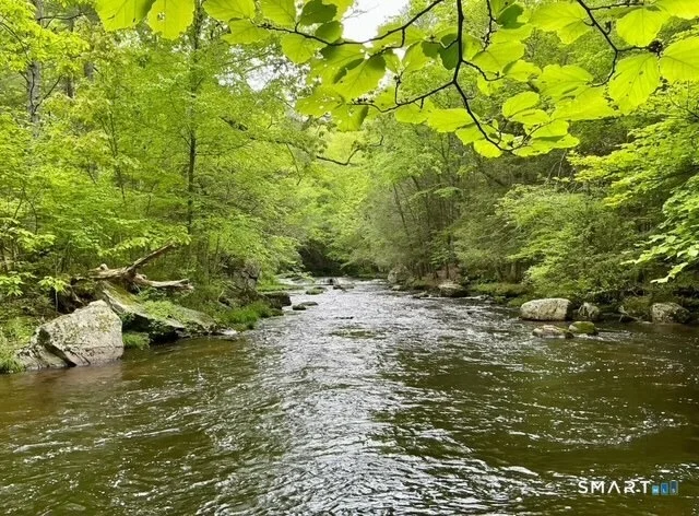 Photo of 0 Hendee Road