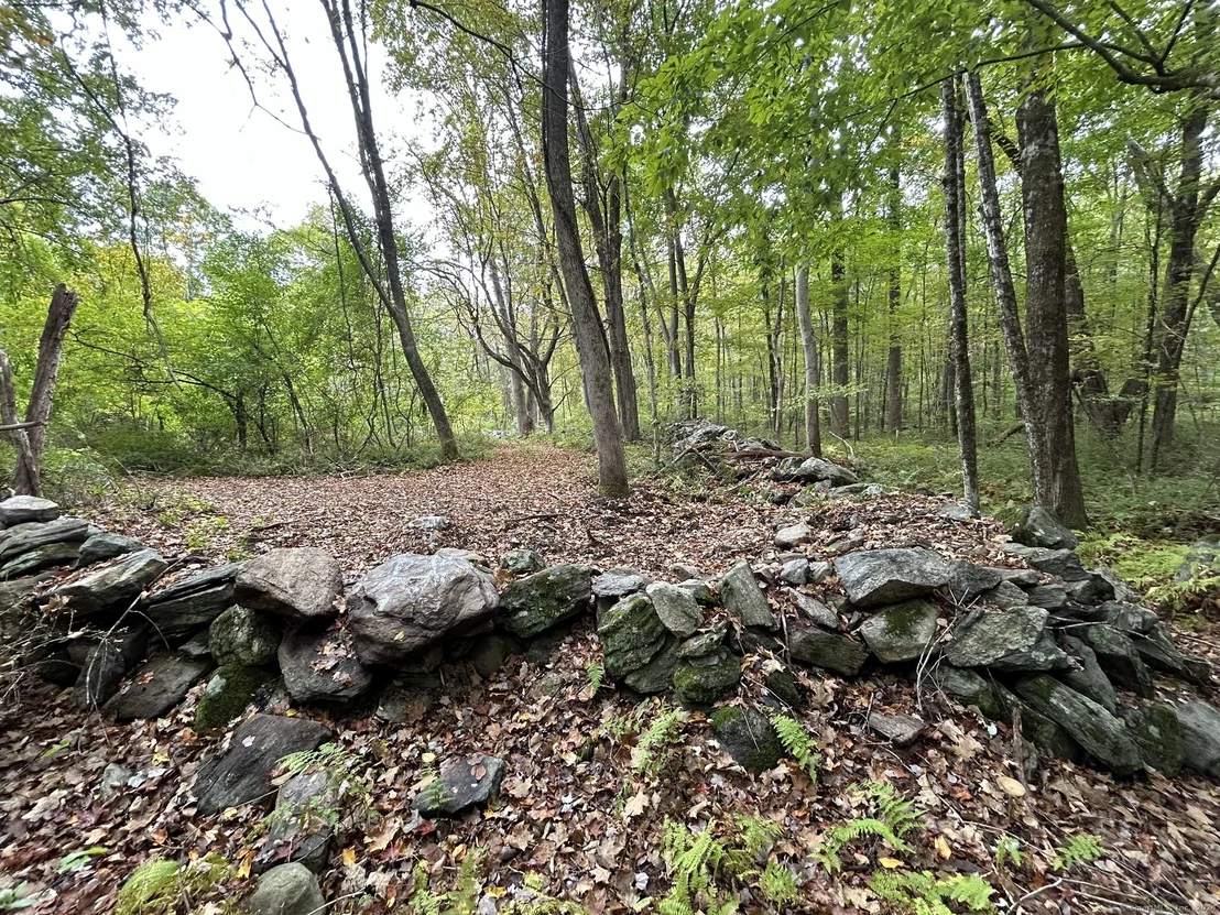 Photo of Map 206 Lot 6 Gates Road