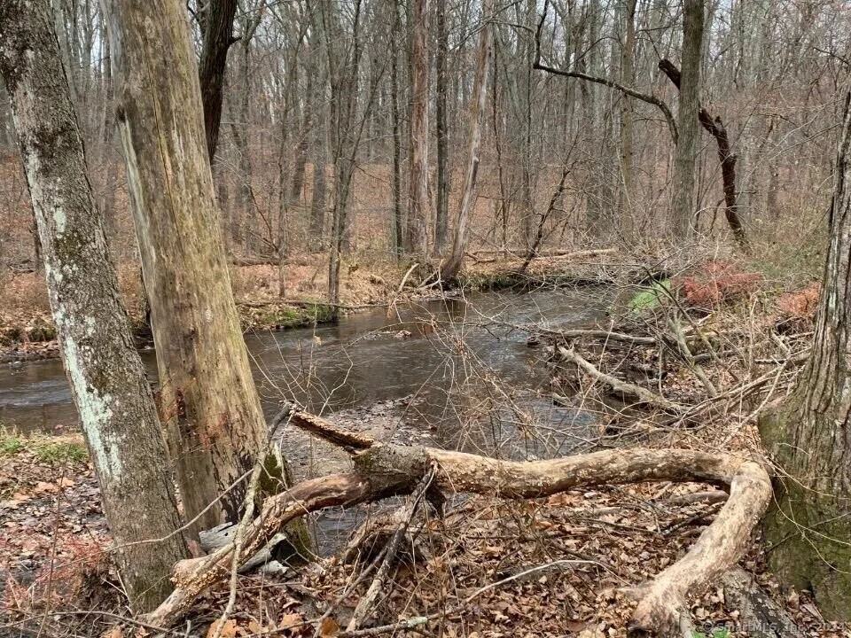 Photo of 16 Broad Brook Road