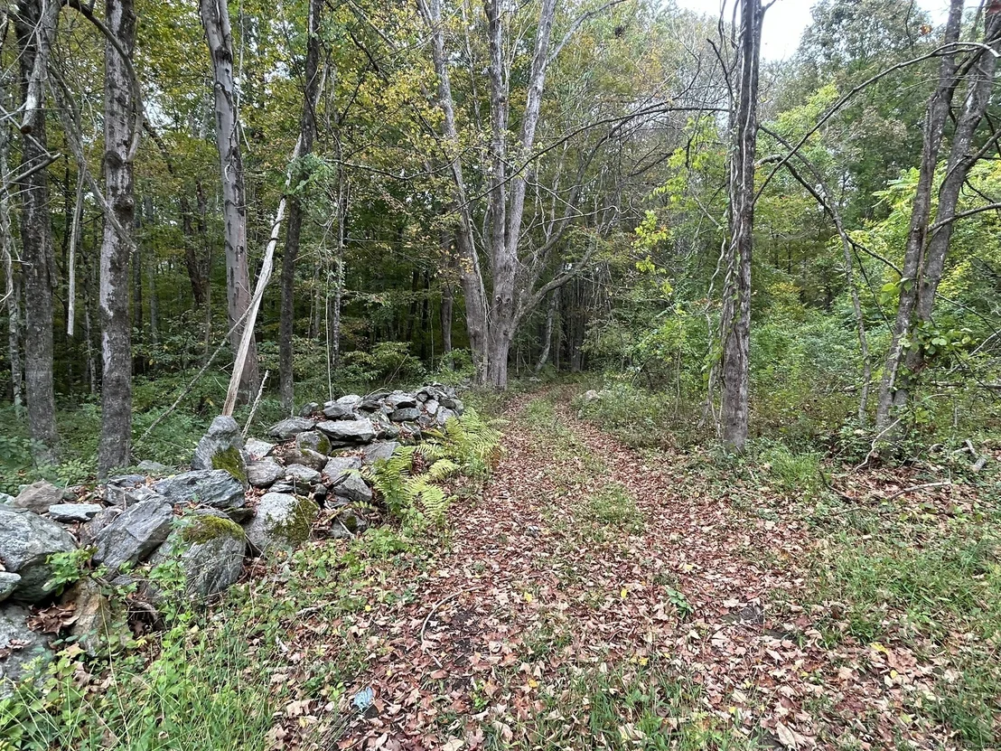 Photo of Map 206 Lot 6 Gates Road