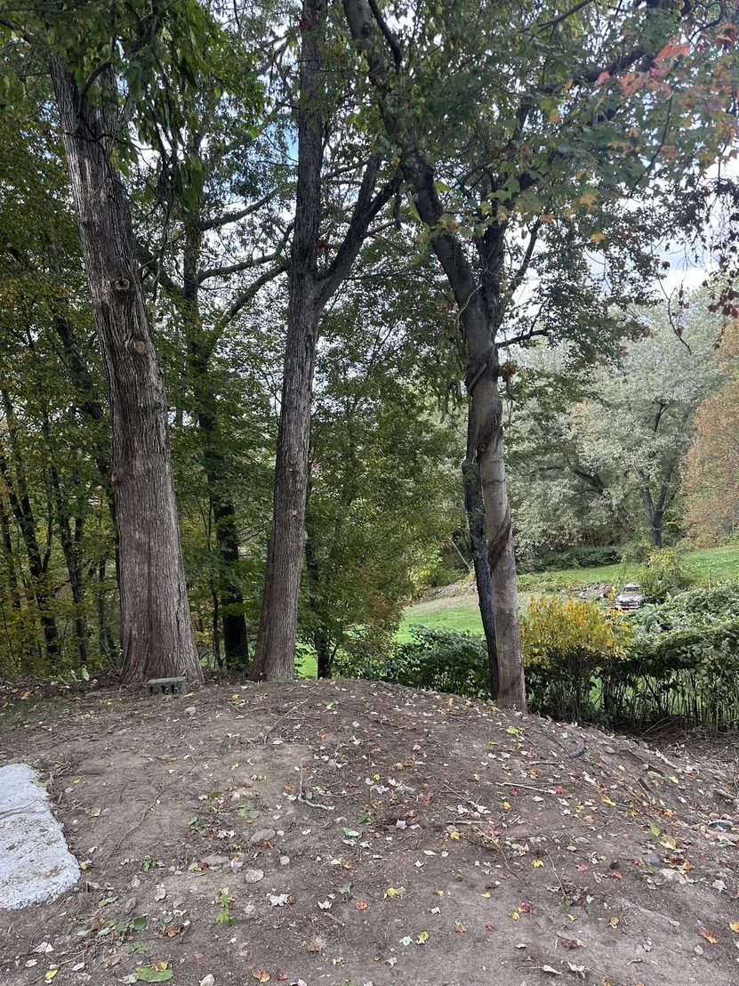 Photo of 258 Prospect Street