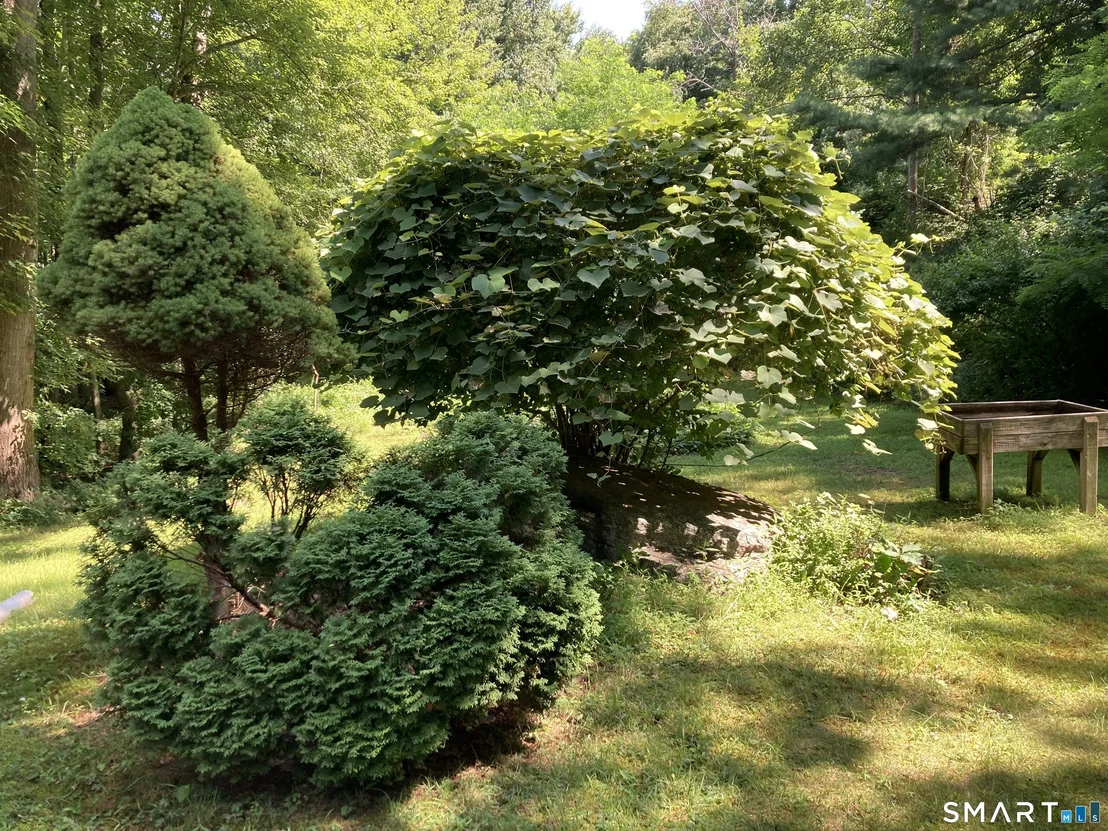 Photo of 207 Reed Road