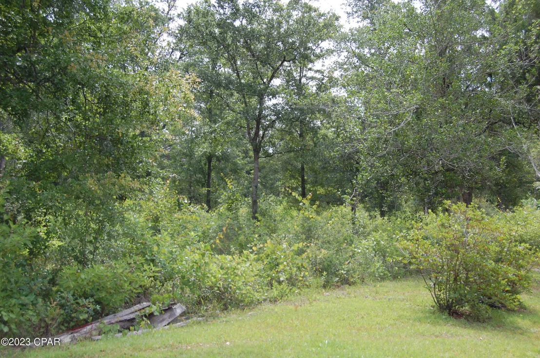 Photo of 439 Big Cedar Drive