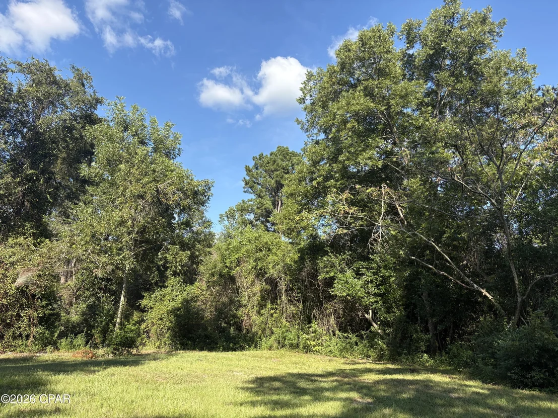 Photo of 240 Mockingbird Lane