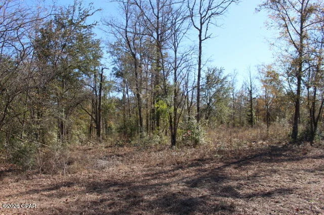 Photo of 6297 Americus Road