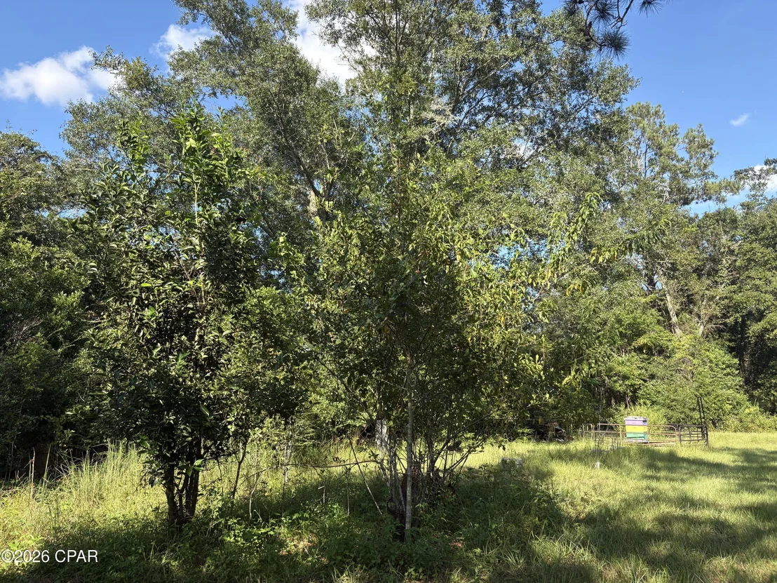 Photo of 240 Mockingbird Lane