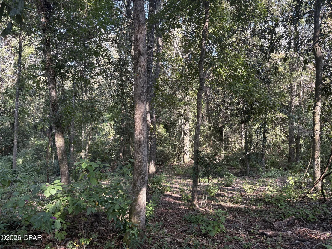 Photo of 240 Mockingbird Lane
