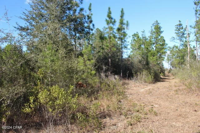 Photo of 5015 NW County Road 274