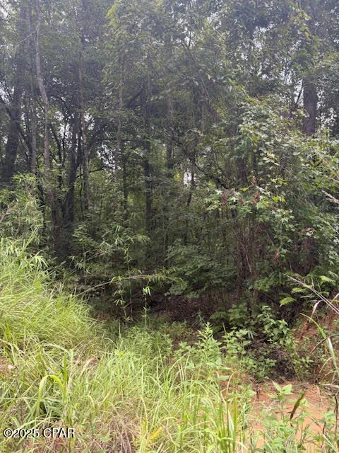 Photo of 0 PT MILLIGAN Road