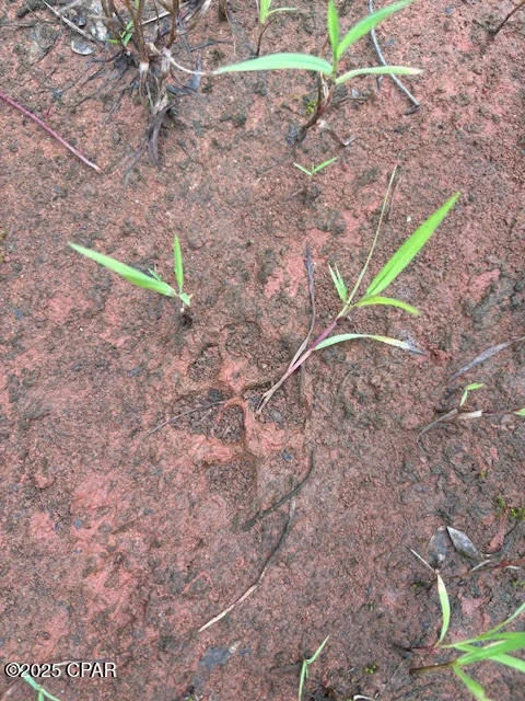 Photo of 0 PT MILLIGAN Road