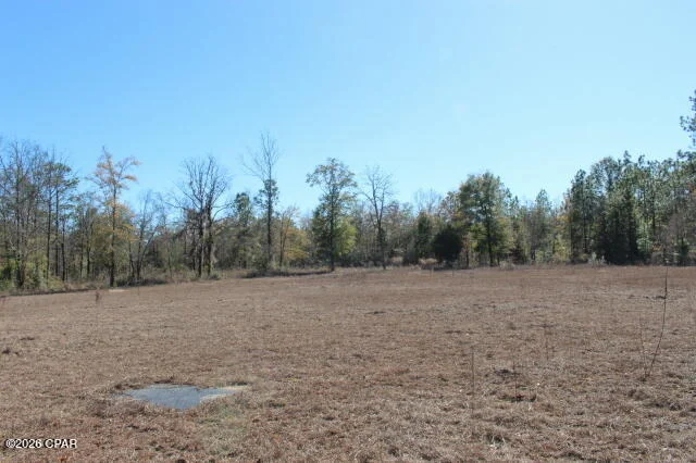 Photo of 6297 Americus Road