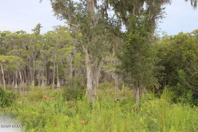 Photo of 21558 NW Lake Mckenzie Boulevard
