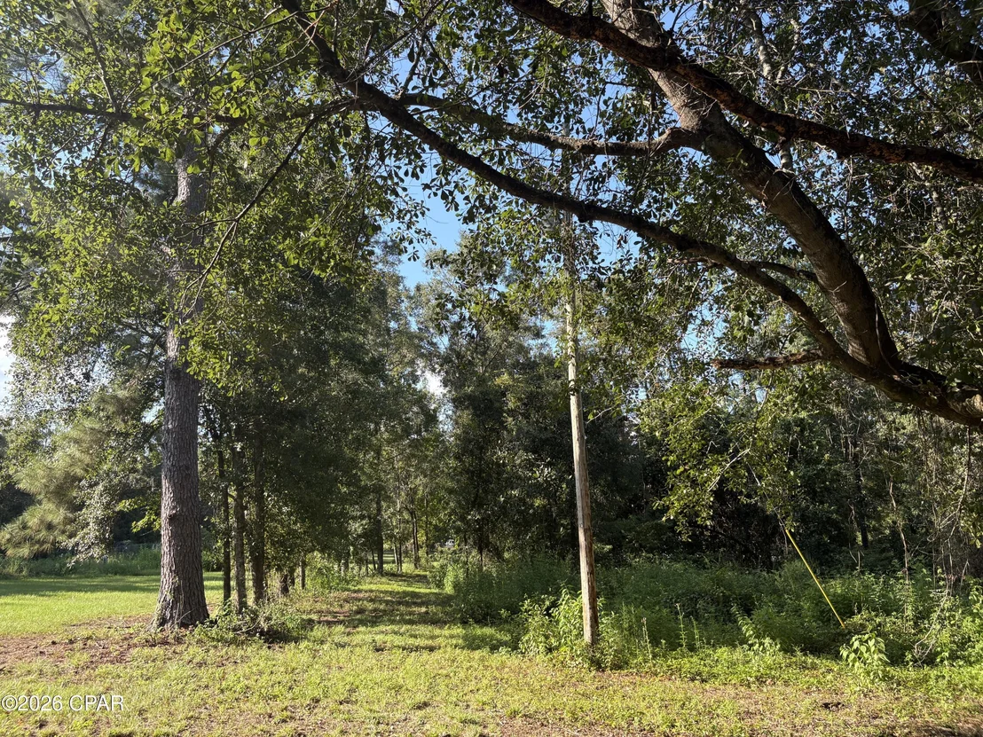 Photo of 240 Mockingbird Lane