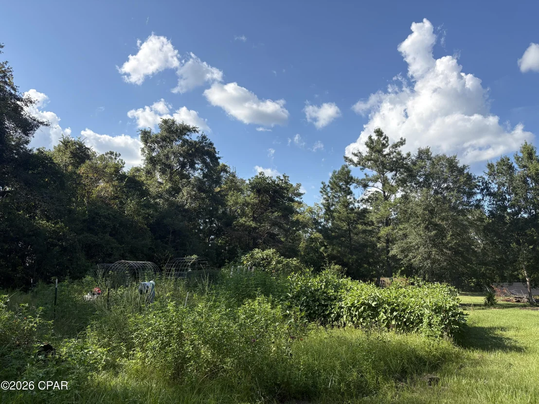 Photo of 240 Mockingbird Lane