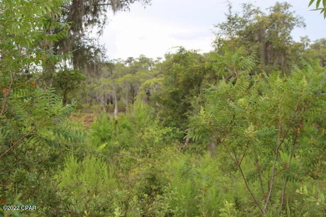 Photo of 21558 NW Lake Mckenzie Boulevard