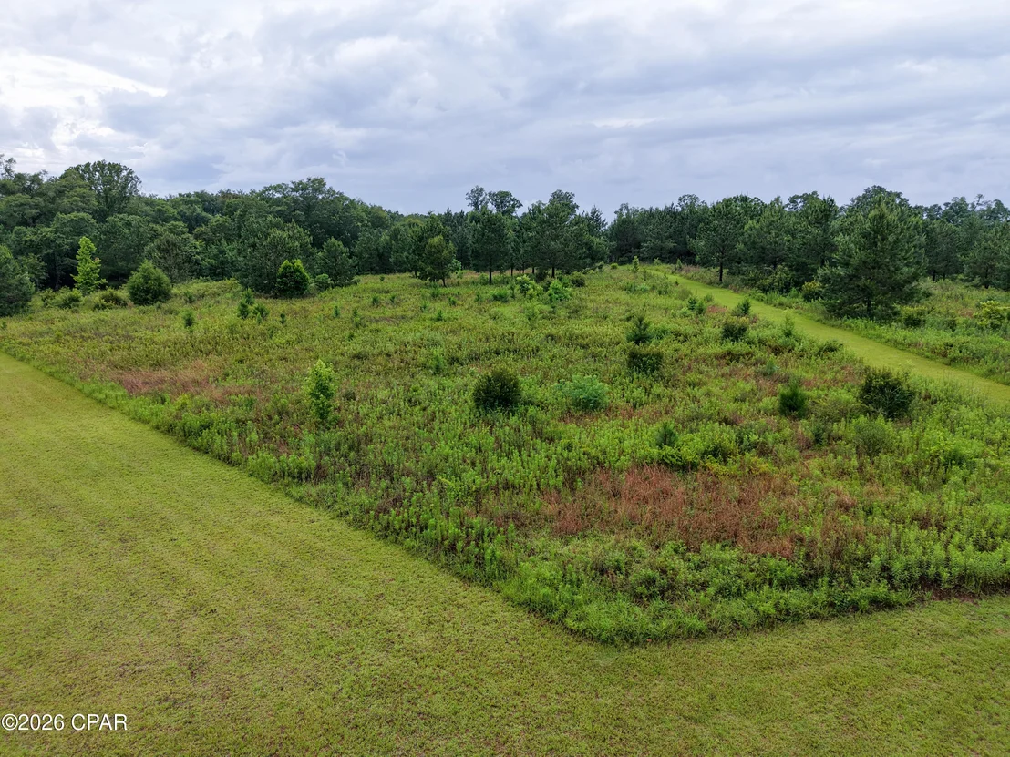 Photo of 1229 Clearview Lane