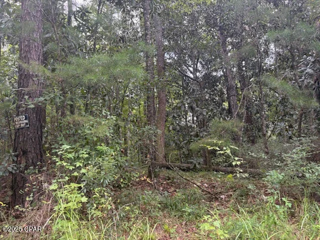 Photo of 0 PT MILLIGAN Road