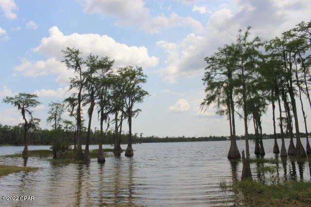 Photo of 21558 NW Lake Mckenzie Boulevard