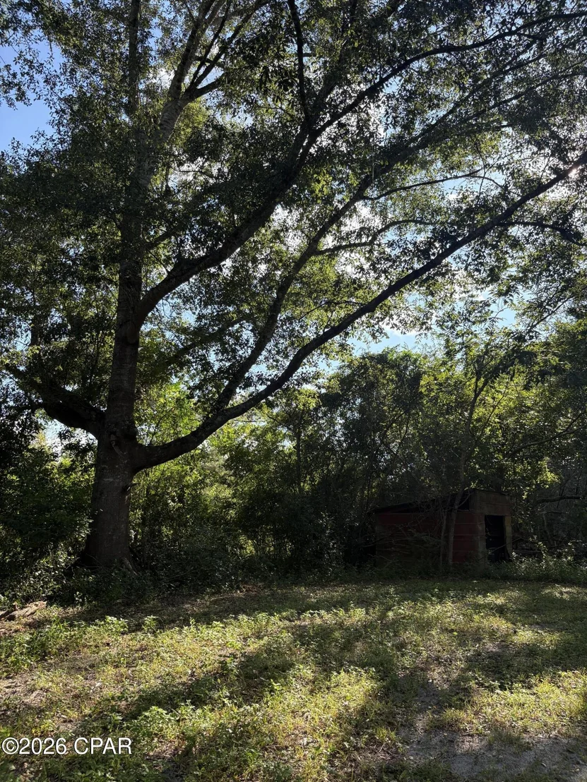 Photo of 240 Mockingbird Lane