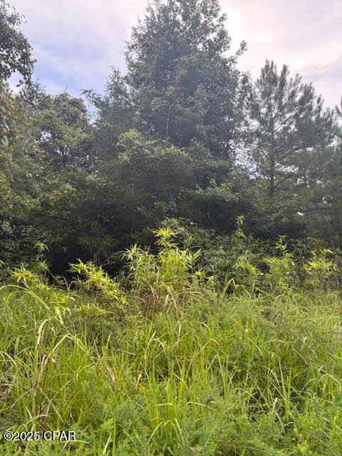 Photo of 0 PT MILLIGAN Road