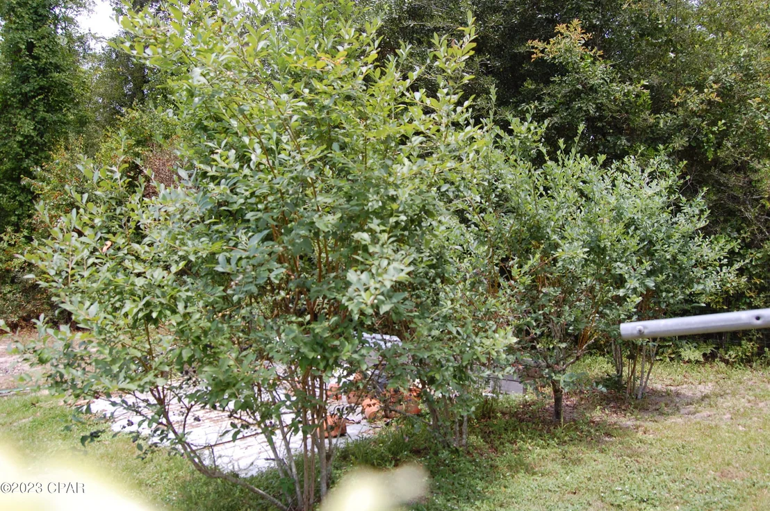Photo of 439 Big Cedar Drive