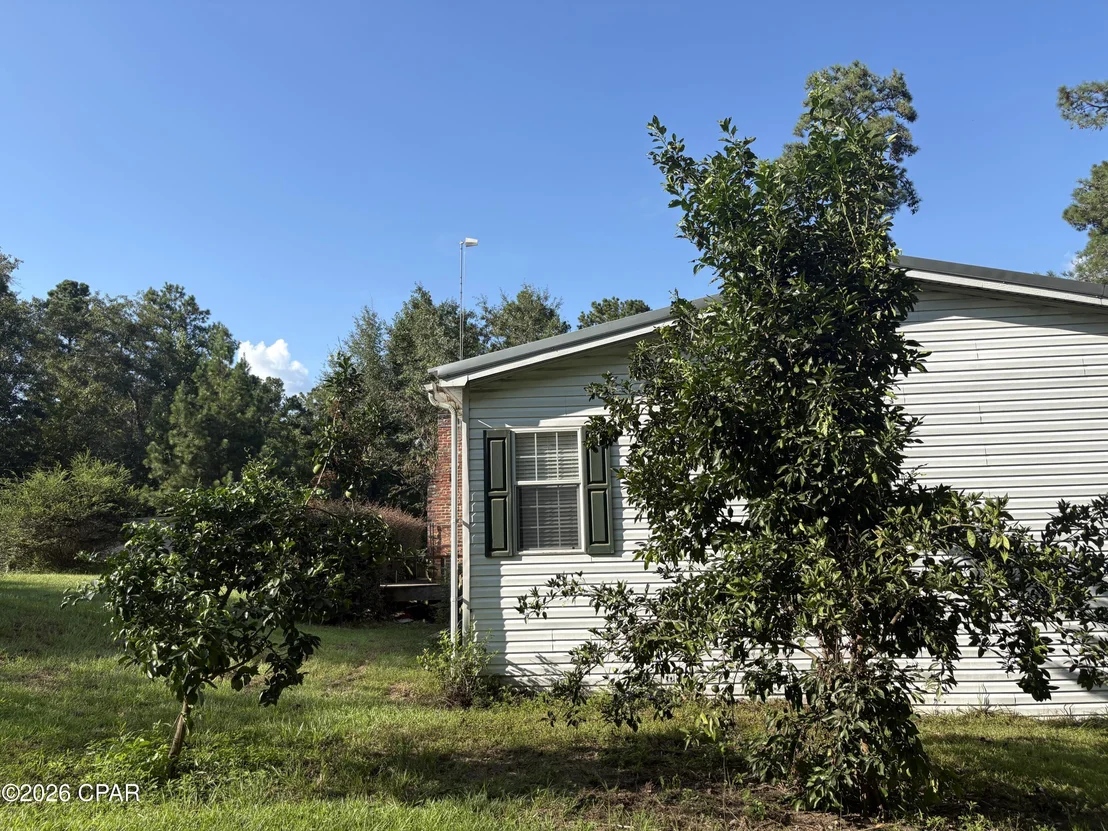 Photo of 240 Mockingbird Lane