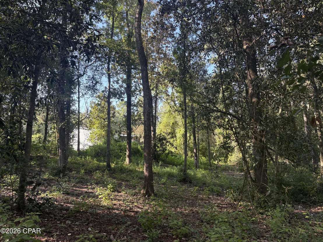 Photo of 240 Mockingbird Lane