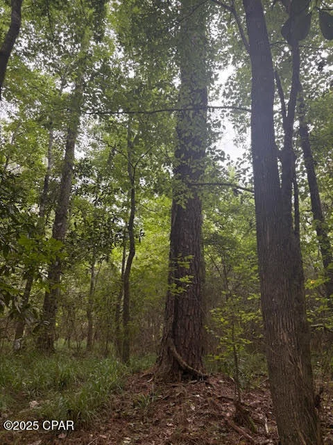 Photo of 0 PT MILLIGAN Road