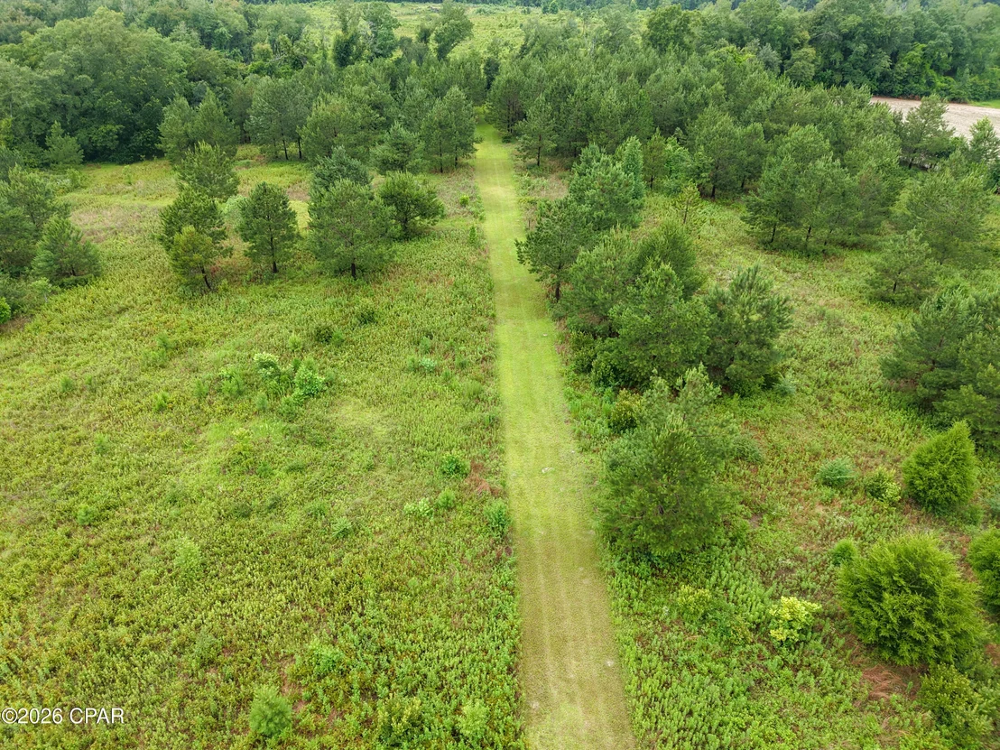 Photo of 1229 Clearview Lane